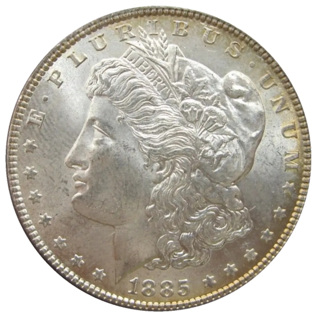1885-$1-Morgan-Dollar-#10
